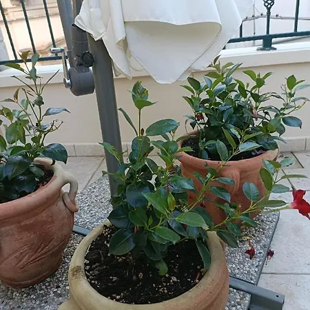 Nocleg ze śniadaniem Il Vicoletto