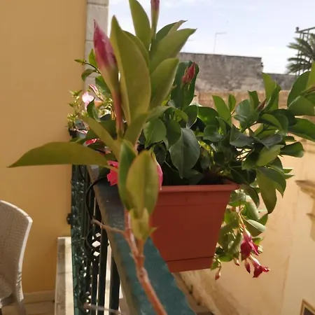 Il Vicoletto אבטראנה