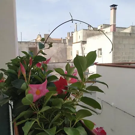 Il Vicoletto לינה וארוחת בוקר אבטראנה