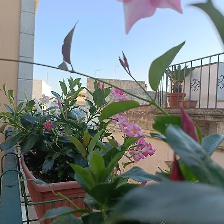 Bed & Breakfast Il Vicoletto