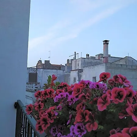 Il Vicoletto 阿韦特拉纳