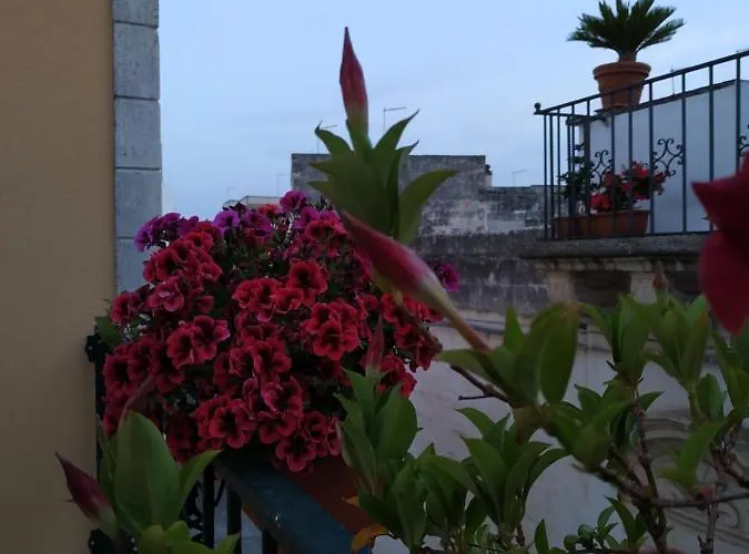 Il Vicoletto فندق مبيت وإفطار *